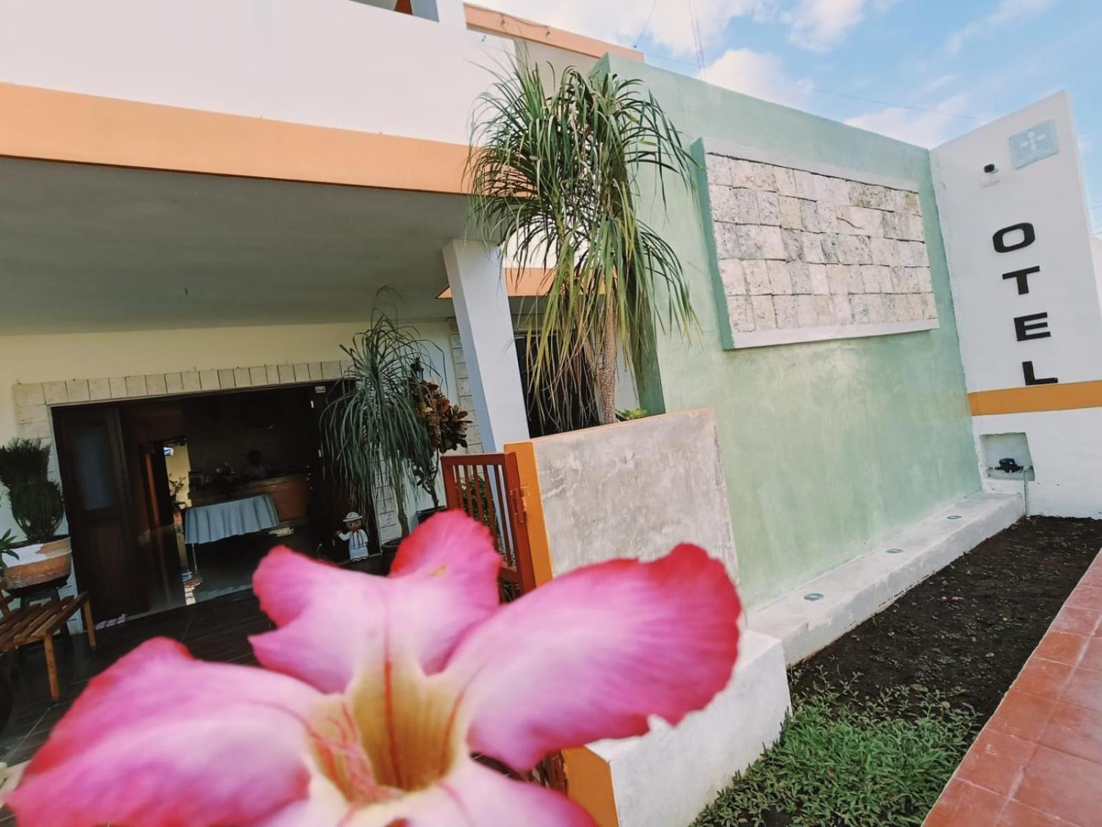 Hotel Casa Rosario バリャドリッド エクステリア 写真